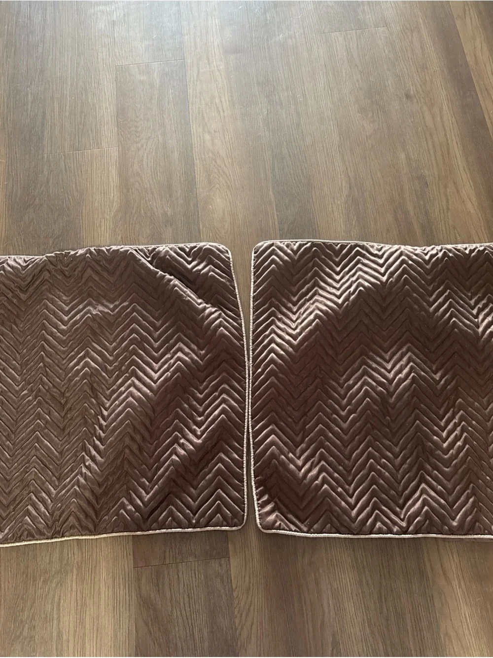 Madison Park Velvet Chevron Pillow Shams in Taupe